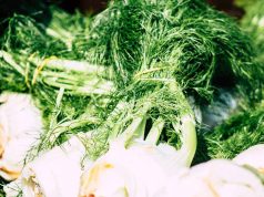 Que faire des feuilles de fenouil ? feuilles de fenouil