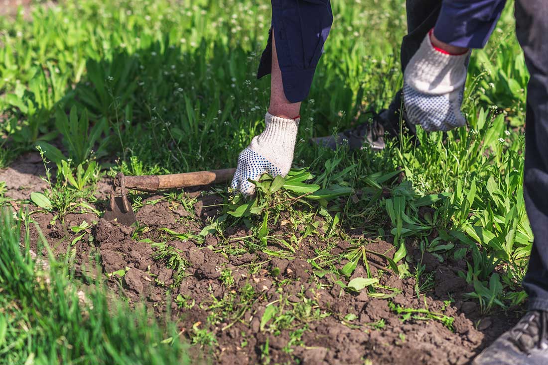 Comment Faire Un D Sherbant Naturel Recettes Efficaces Comment Faire