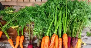 Comment décongeler des carottes ? Carottes