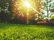 8 choses à faire à Pâques afin d’avoir une pelouse parfaite toute l’année choses à faire à Pâques afin d'avoir une pelouse parfaite