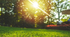 Les secrets d’un gazon luxuriant au printemps : Semis et entretien choses à faire à Pâques afin d'avoir une pelouse parfaite