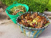 Comment faire son compost naturel pour son jardin ? faire son compost naturel