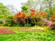 Transformez votre jardin en oasis de couleurs ce printemps : inspirations et conseils jardin en oasis de couleurs