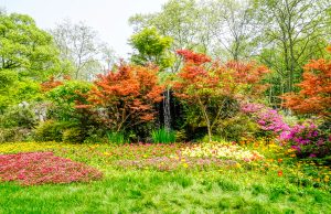 Transformez votre jardin en oasis de couleurs ce printemps : inspirations et conseils jardin en oasis de couleurs