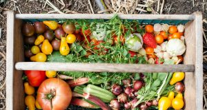 6 techniques pour créer un potager en permaculture dès le printemps