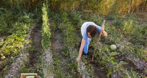 5 astuces pour améliorer la qualité du sol de votre jardin Améliorer le sol du jardin